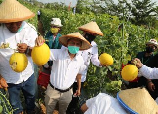 Unila Presents Center Melon Agro-tourism City